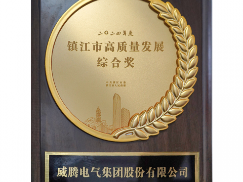 喜讯│永利3044noc荣获2024年度镇江市高质量发展综合奖